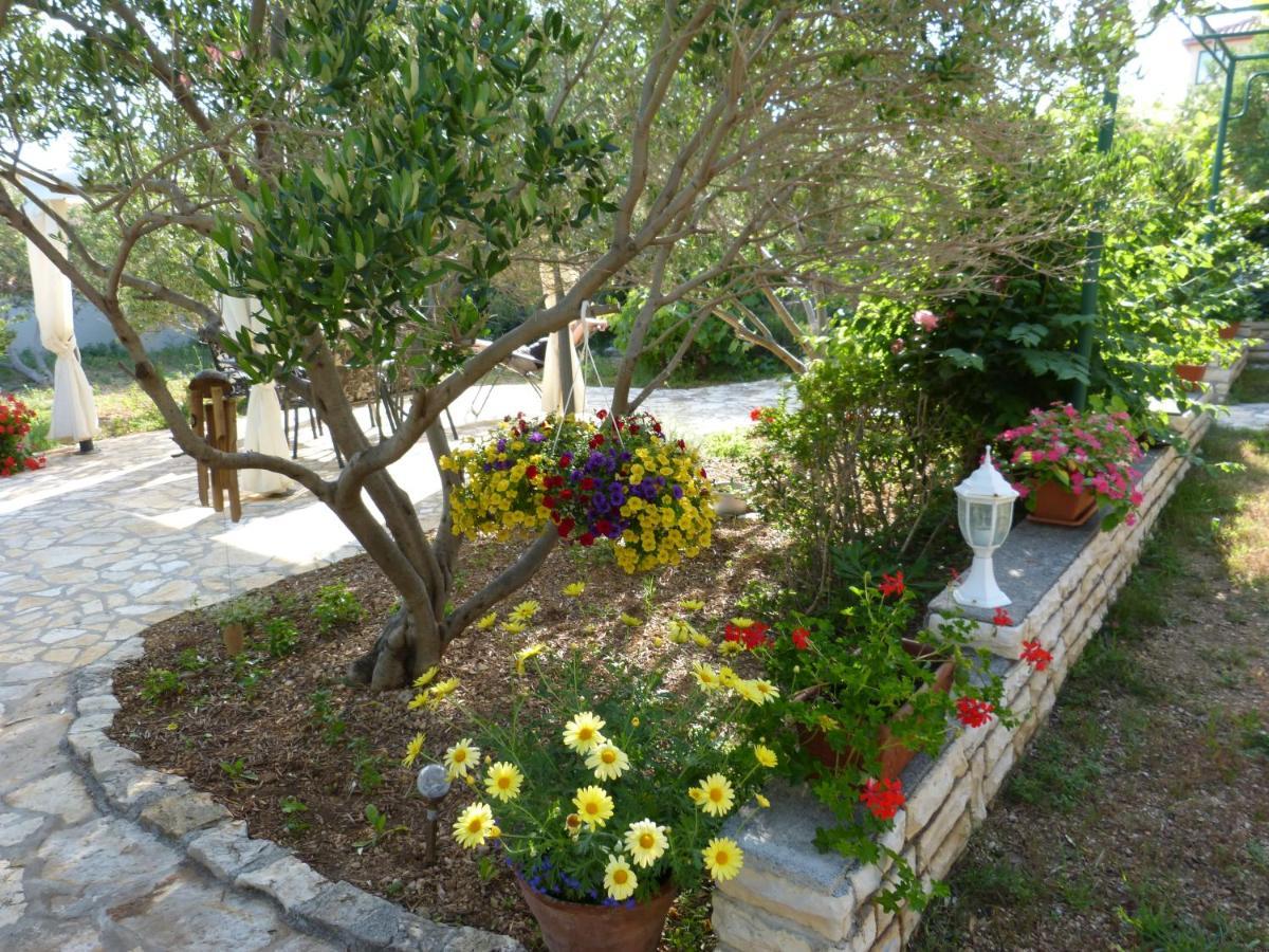Apartmani Milena Barbat na Rabu 外观 照片