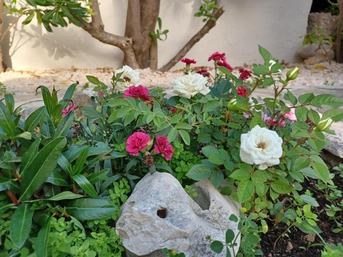 Apartmani Milena Barbat na Rabu 外观 照片