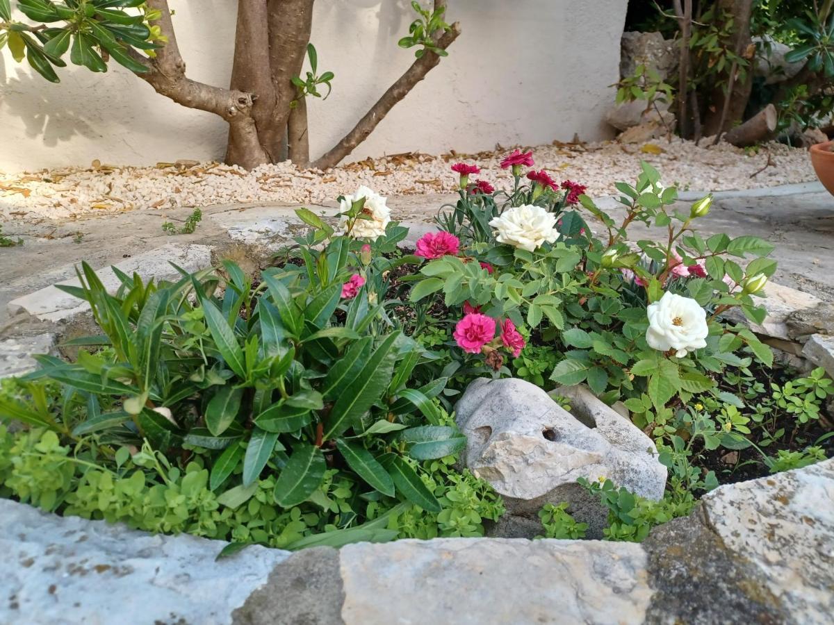 Apartmani Milena Barbat na Rabu 外观 照片